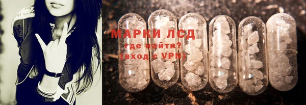 ECSTASY Алзамай