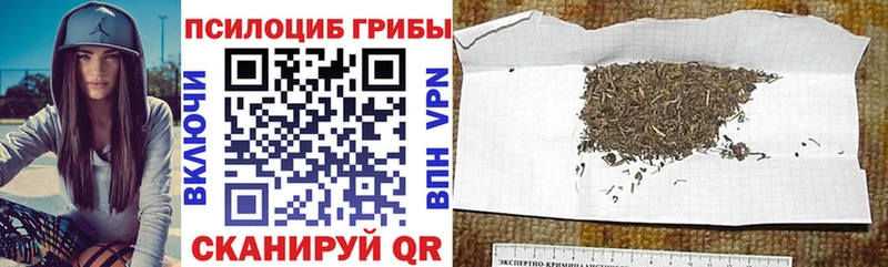 цена наркотик  Шебекино  Псилоцибиновые грибы прущие грибы 